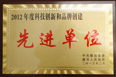 2012年度科技創(chuàng  )新和品牌建設先進(jìn)單位